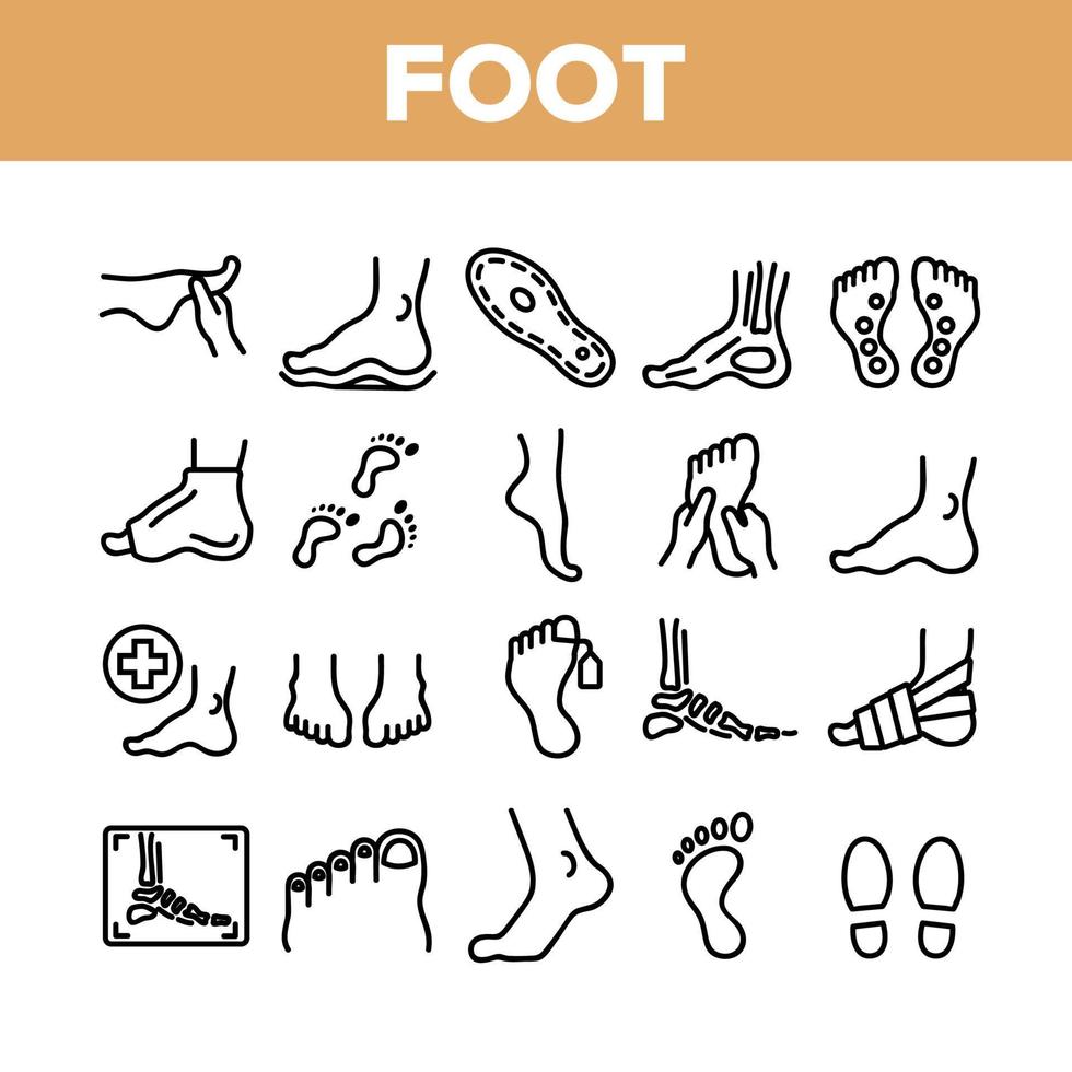 vetor de conjunto de ícones de coleção de parte do corpo humano do pé