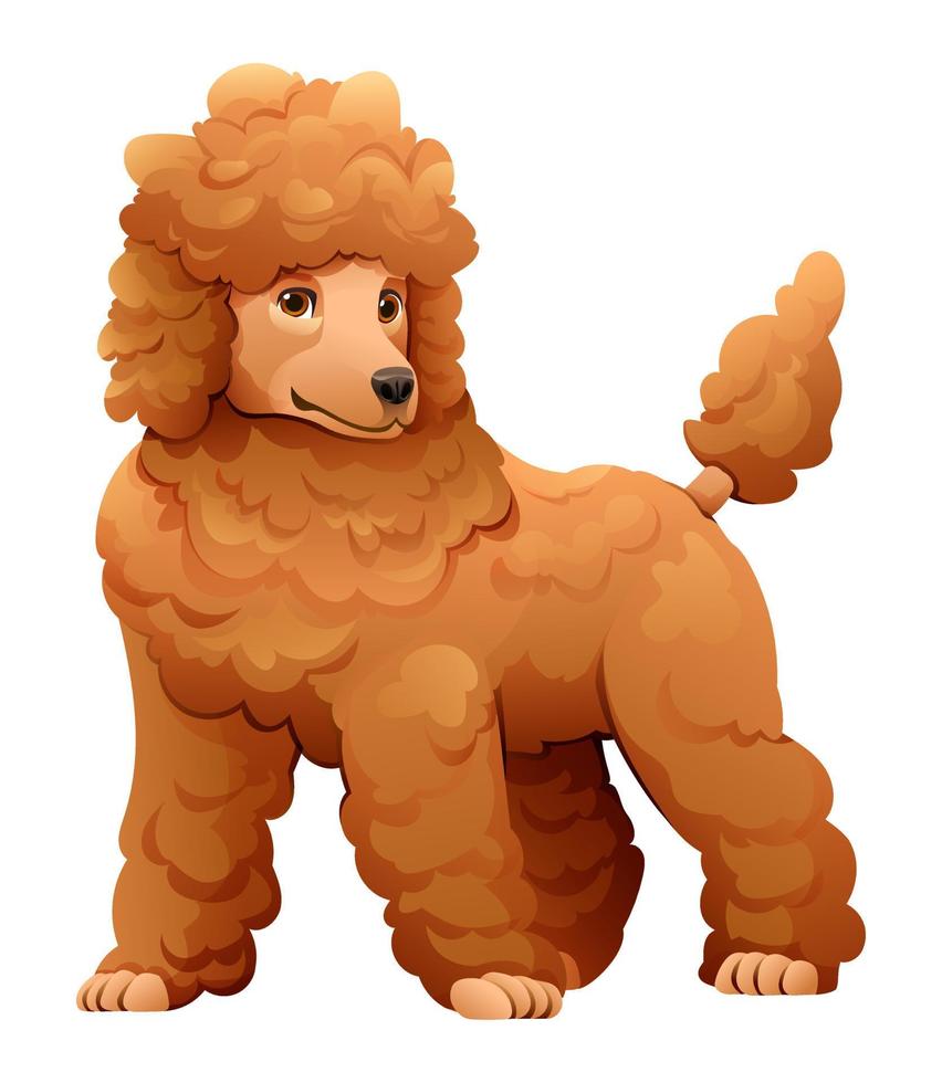 ilustração de desenho vetorial de cachorro poodle vetor