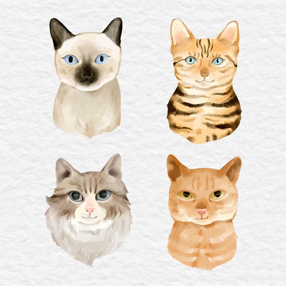 coleção de clipart de elementos de gato em aquarela vetor