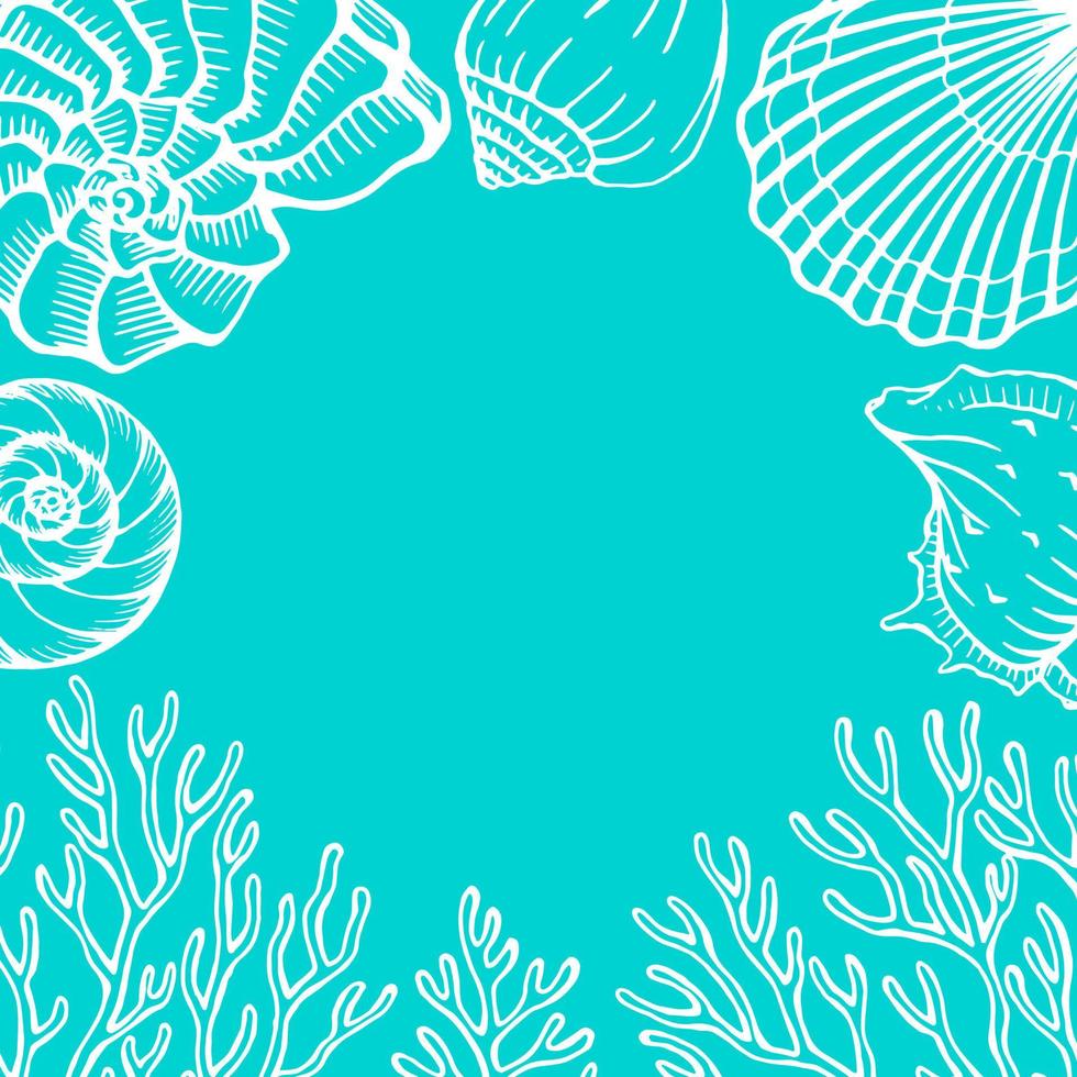 conchas e moldura de coral. modelo de design de mar e oceano. modelos de cartão de vetor. ilustração vetorial no estilo de desenho. vetor