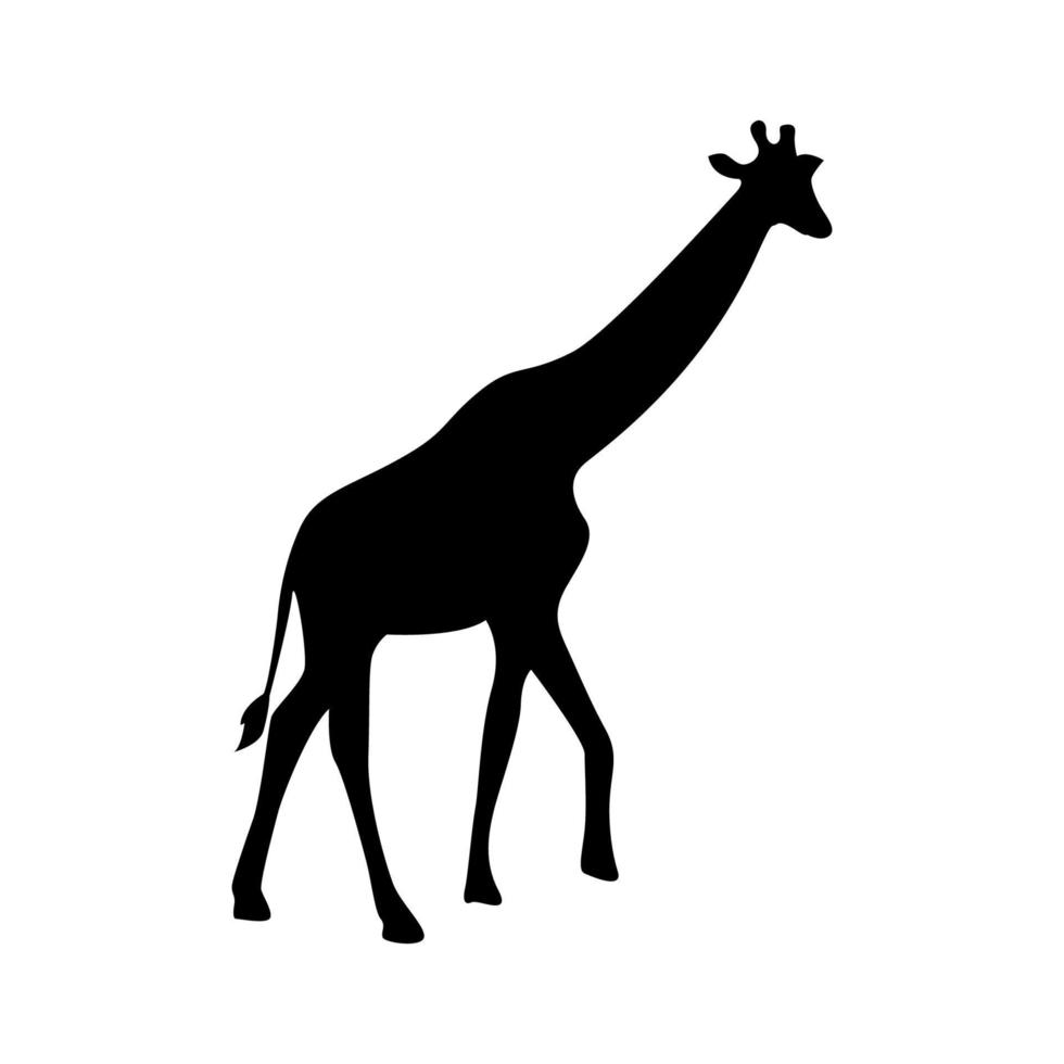 silhueta vetorial de uma girafa. vetor girafa. silhueta de vetor de girafa. silhueta de girafas.