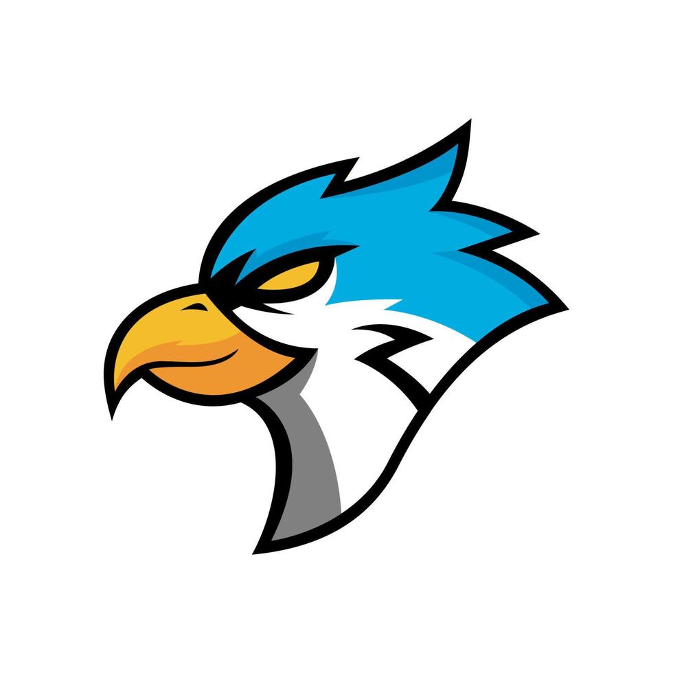 modelos de logotipo de vetor de esportes de águia falcão
