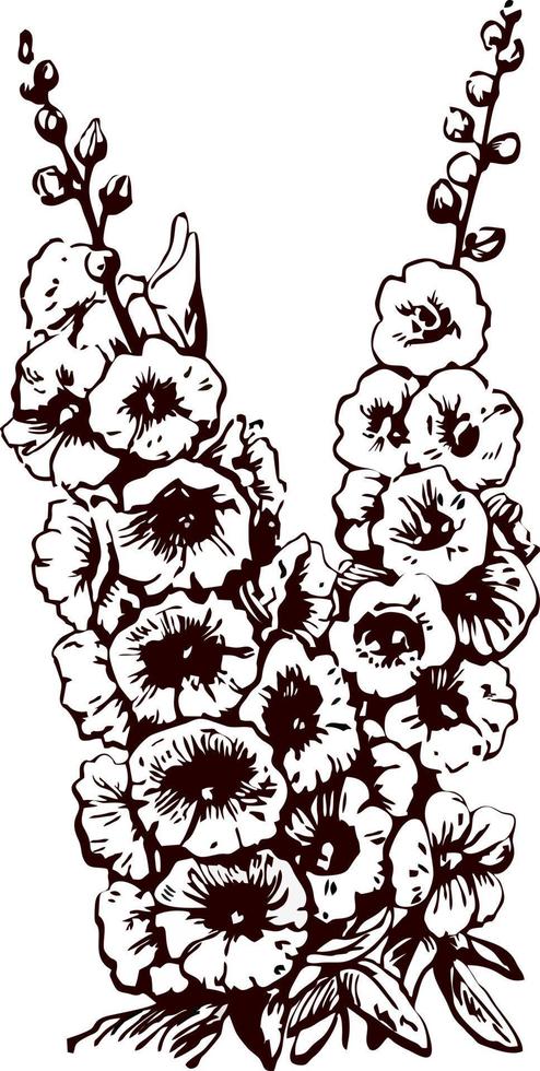 flores de malva - ilustração vetorial desenhada à mão, estilizada como gravura vetor