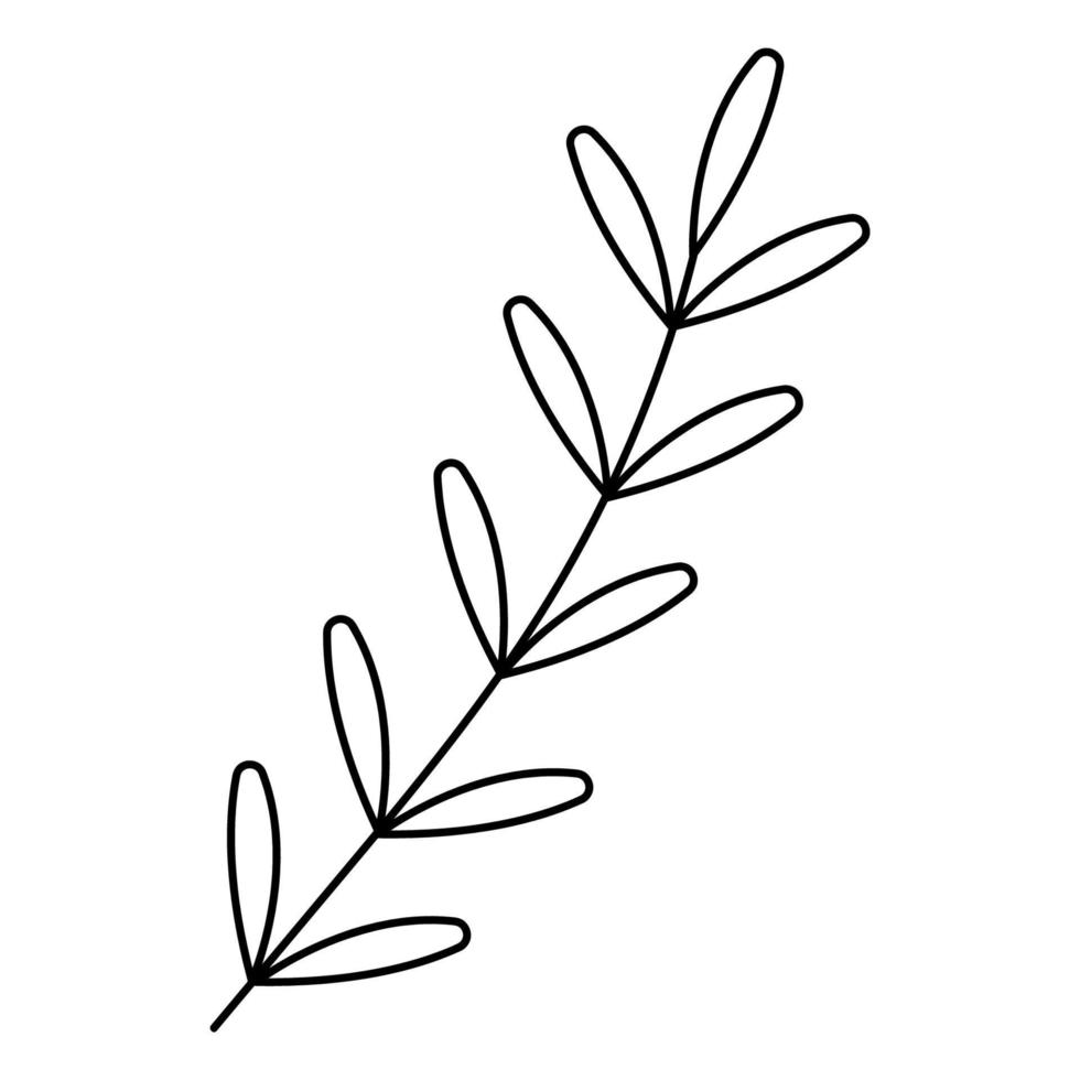 ramo doodle abstrato com folhas. mão desenhada contorno ilustração vetorial. vetor