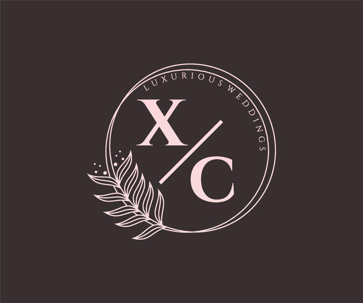 xc letras iniciais modelo de logotipos de monograma de casamento, modelos minimalistas e florais modernos desenhados à mão para cartões de convite, salve a data, identidade elegante. vetor