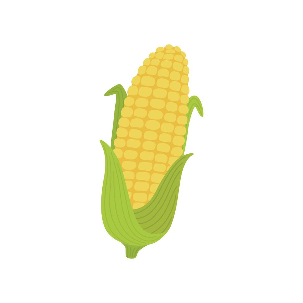 ilustração de milho amarelo vetor