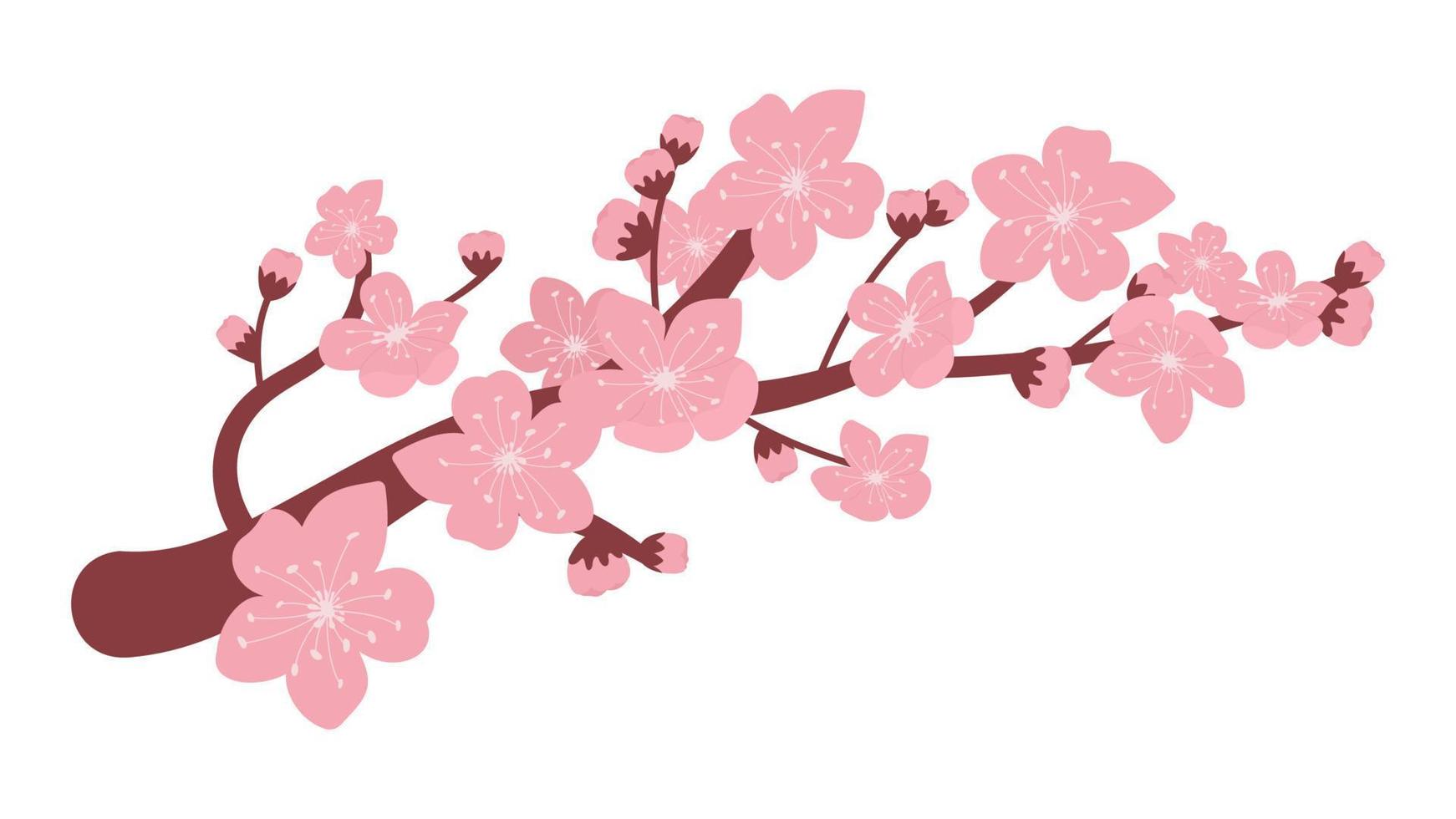 ramo de flor de cerejeira vetor