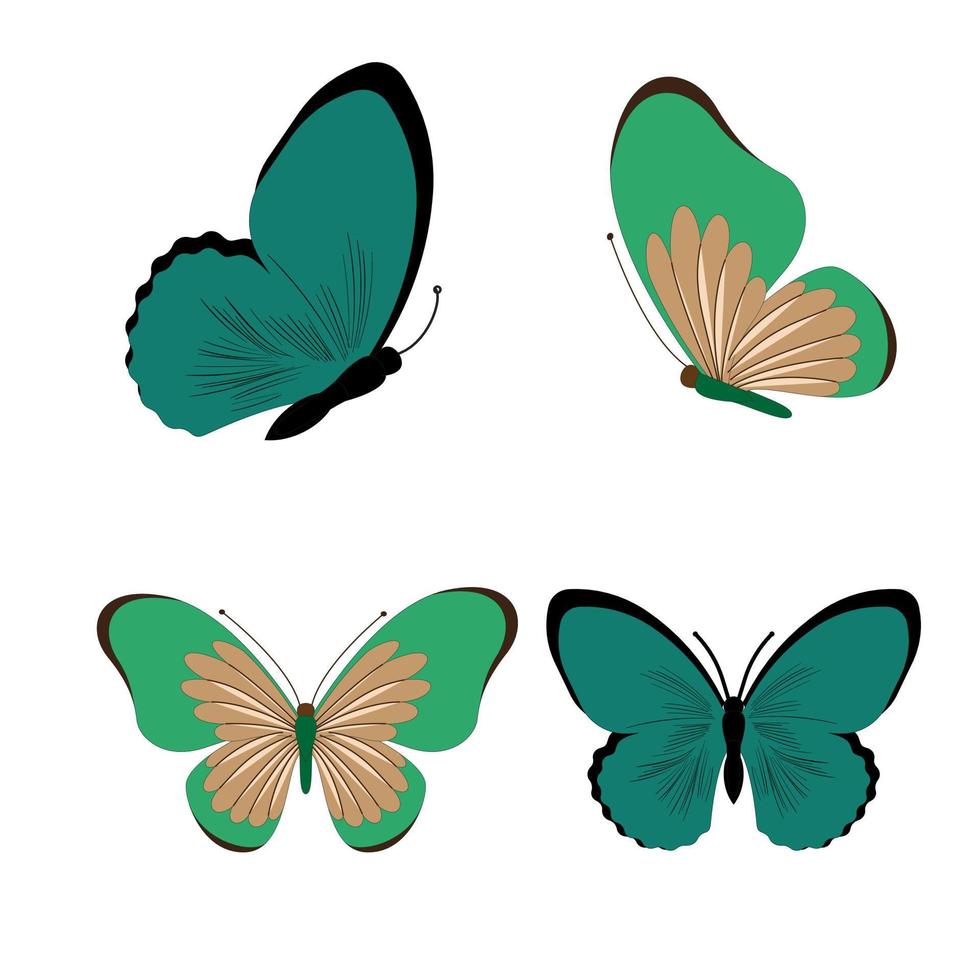 ilustração em vetor borboleta. isolado dos desenhos animados conjunto ícone inseto decorativo. vetor desenho animado conjunto ícone borboleta.