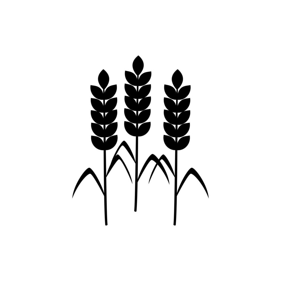 vetor de ícone de trigo. sinal de ilustração de cereais. símbolo da colheita. logotipo da fazenda.