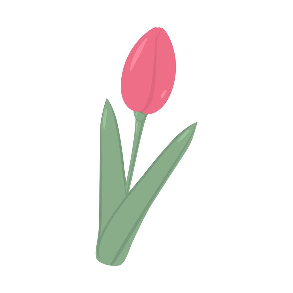 botão de tulipa fechado em tons suaves da moda em estilo plano. 8 de março. feliz dia da mulher. adesivo. ícone. vetor
