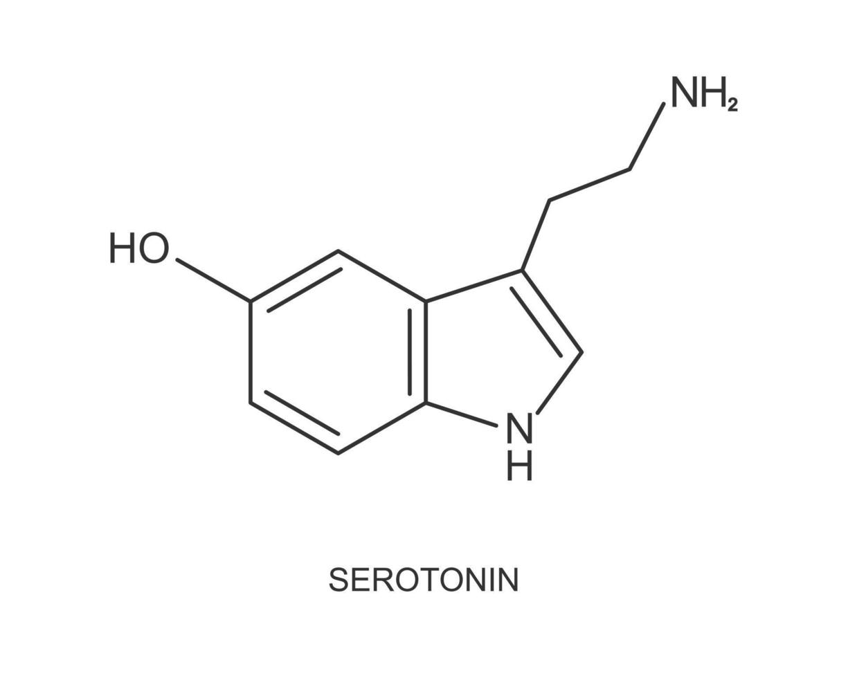 ícone de serotonina. feliz ou sentir bom sinal de hormônio. estrutura molecular química vetor