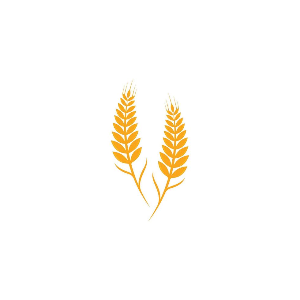 ícone de vetor de modelo de logotipo de trigo de agricultura
