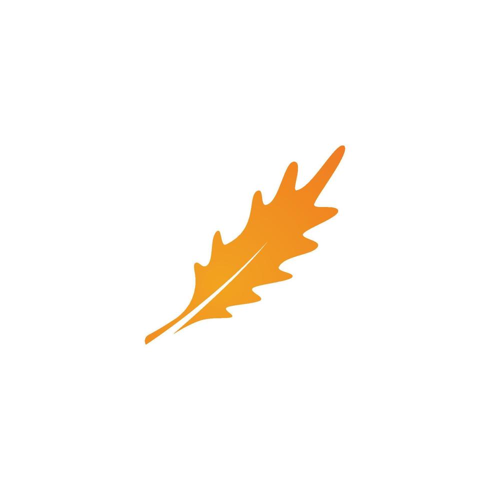 logotipo da folha de carvalho vetor