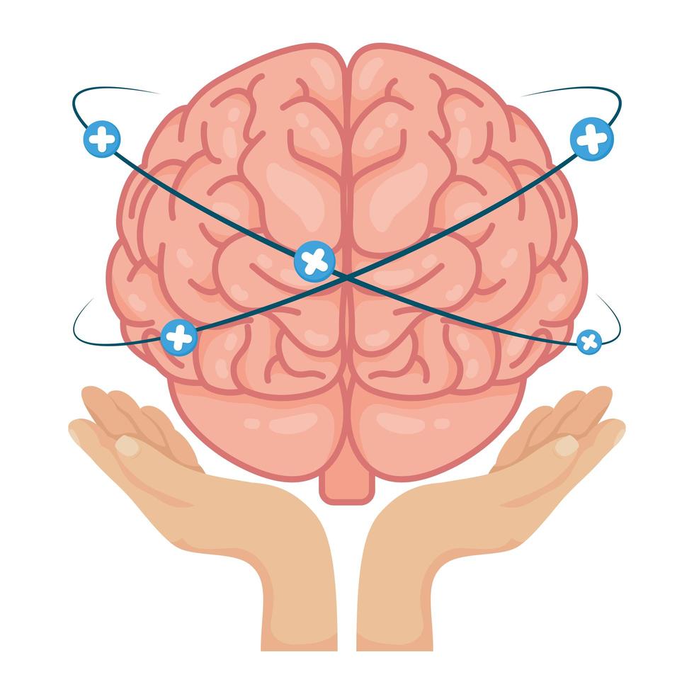 mãos levantando o cérebro humano com símbolos de adição vetor