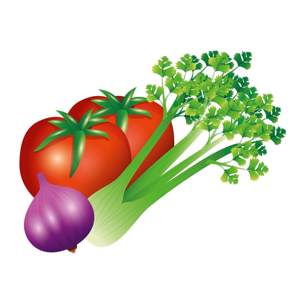 aipo, alho e tomate vegetal vetor design