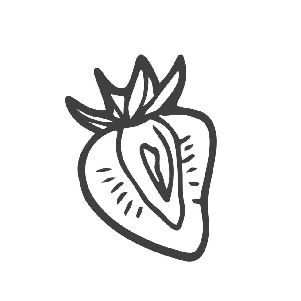 ícone de doodle de contorno desenhado à mão de morango. ilustração de desenho vetorial de baga saudável - morango cru fresco para impressão, web, mobile e infográficos isolados no fundo branco. vetor