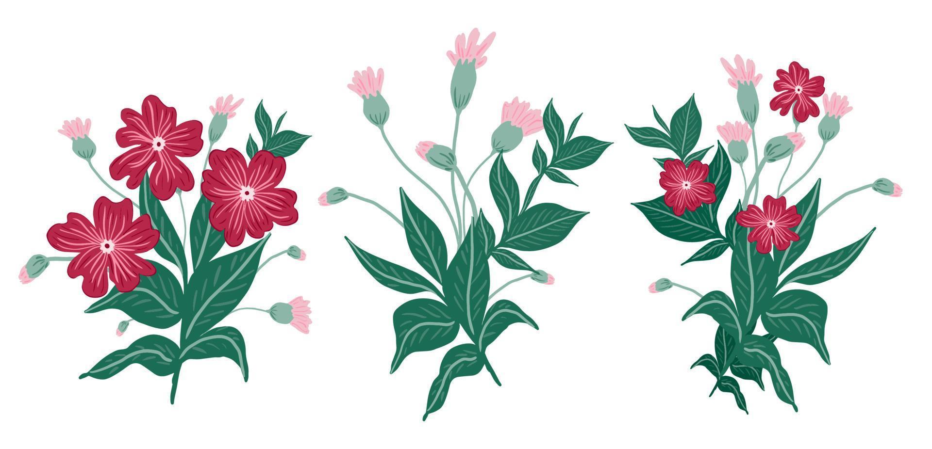 flores desenhadas à mão e elementos de rabiscos de folhas. design floral para cartões comemorativos vetor