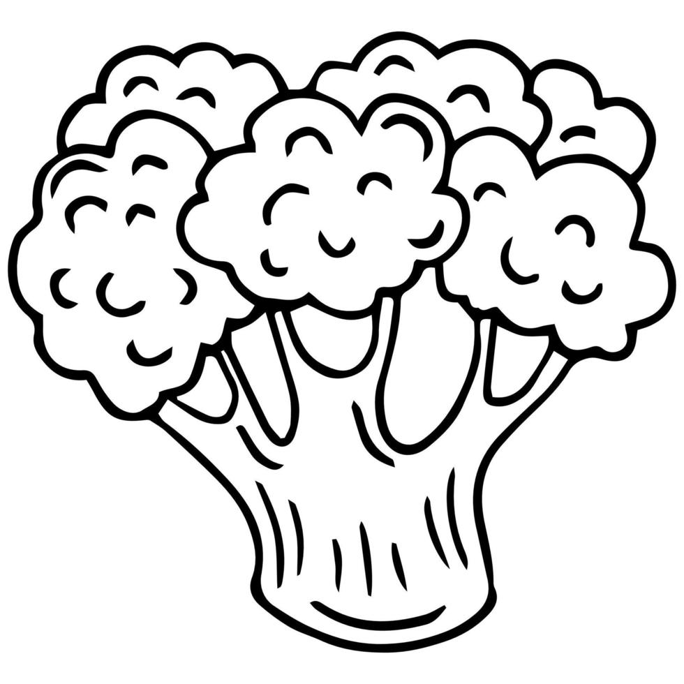 ilustração artística desenhada à mão de brócolis, imitação de desenho a tinta vetor