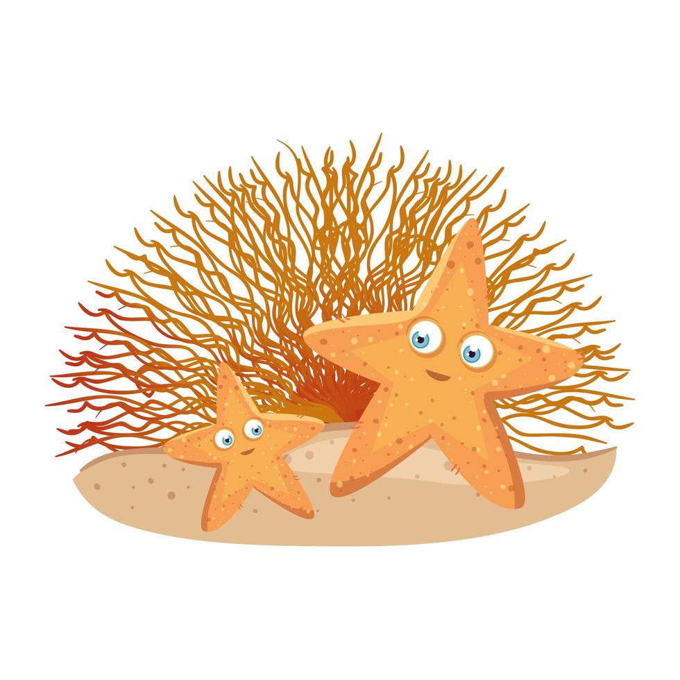 vida subaquática do mar, animal estrela do mar com coral no fundo branco vetor