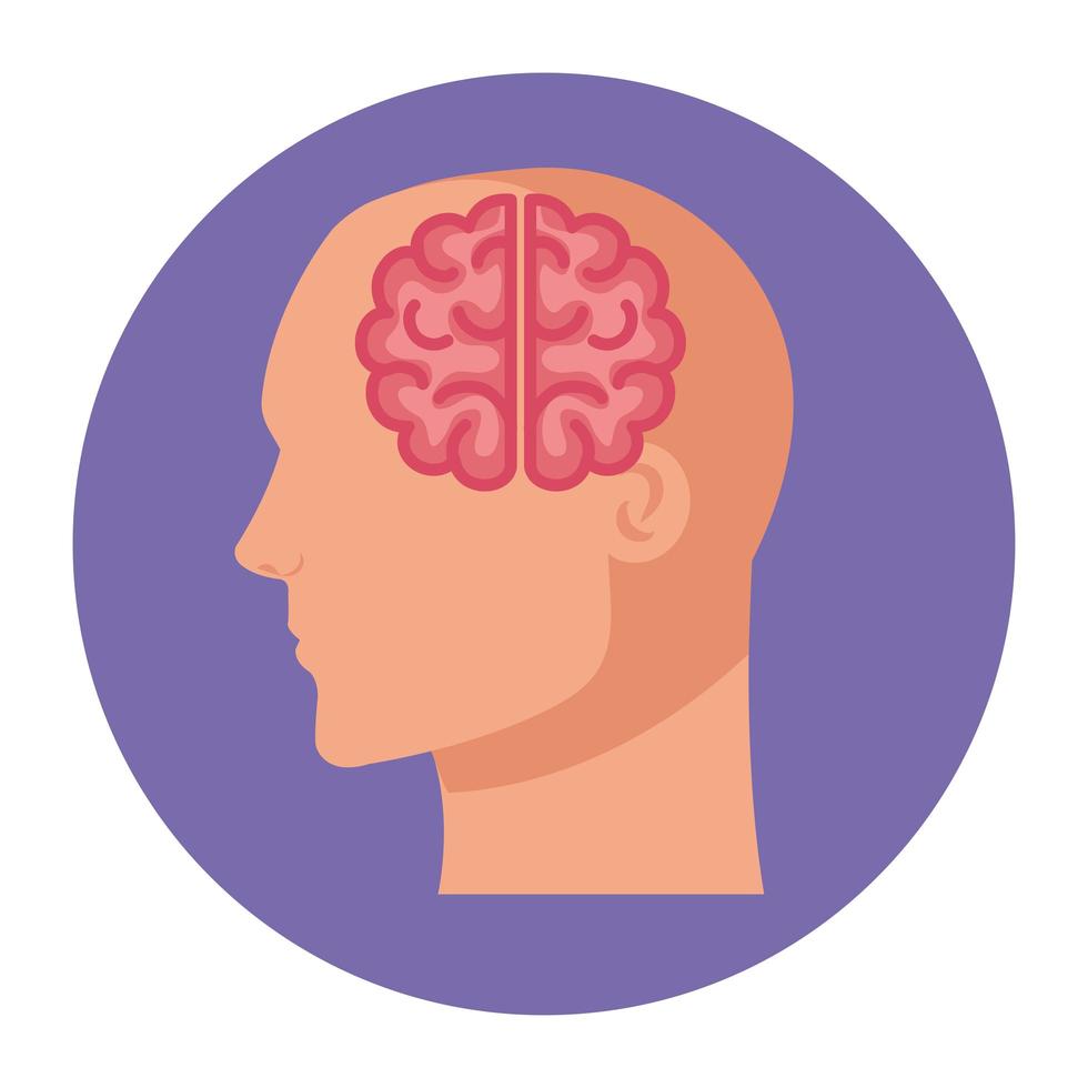 silhueta de perfil humano com cérebro, em fundo branco vetor