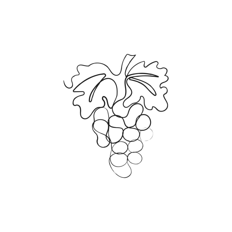 cacho de uva. ilustração vetorial desenhada à mão de frutas em estilo de arte minimalista de uma linha. vetor