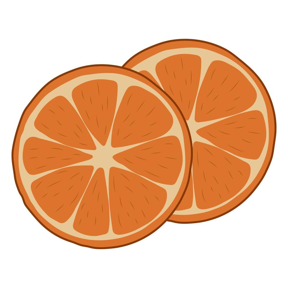 fatias de laranja. ilustração vetorial em um fundo branco. vetor