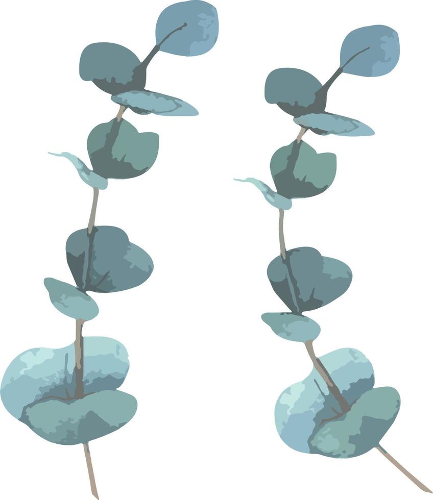 coleção de folhas verdes de eucalipto prateado. ramos naturais, ilustração vetorial. perfeito para impressão e design de casamento vetor