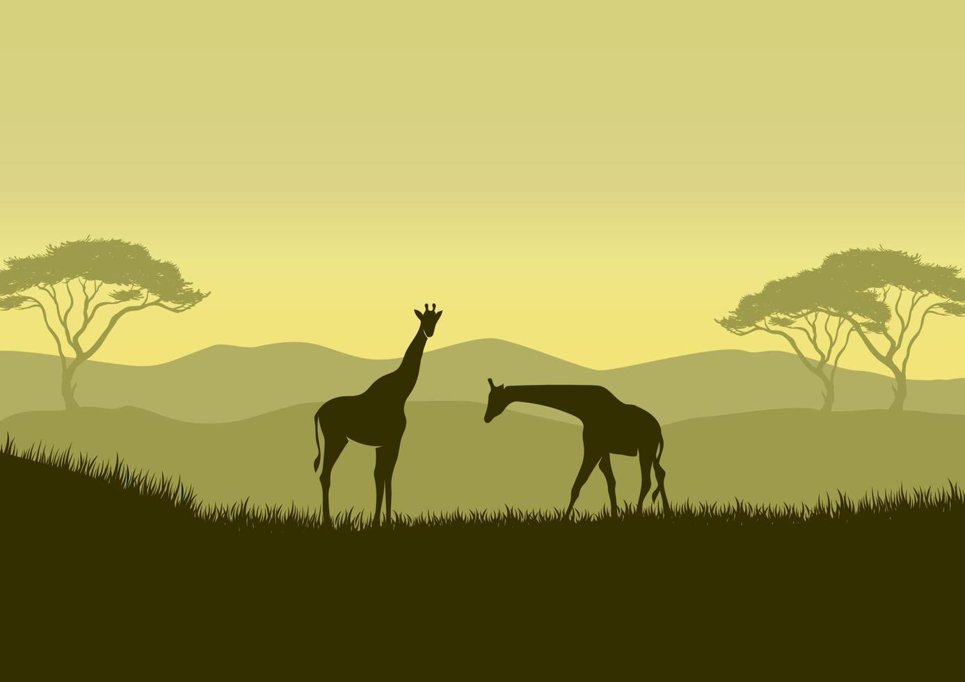 silhuetas de girafa na ilustração vetorial de paisagem de savana vetor