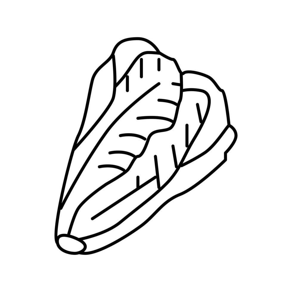 ilustração vetorial de ícone de linha de repolho de alface vetor