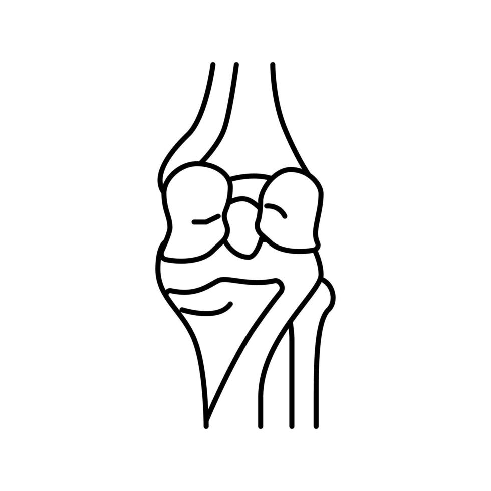 ilustração vetorial de ícone de linha de osso do joelho vetor