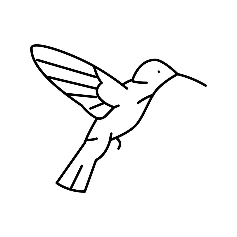 ilustração vetorial de ícone de linha de pássaro colibri vetor
