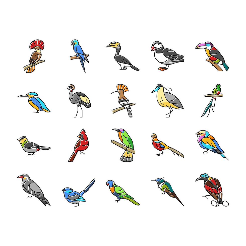 pássaro exótico animal natureza selvagem conjunto de ícones vetor