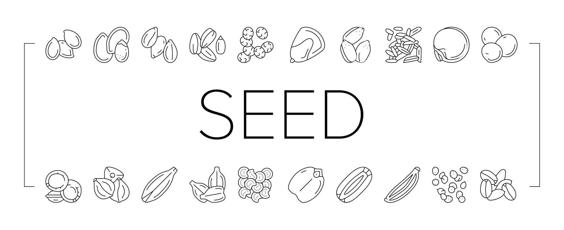 conjunto de ícones de cultura de agricultura de planta de sementes vetor