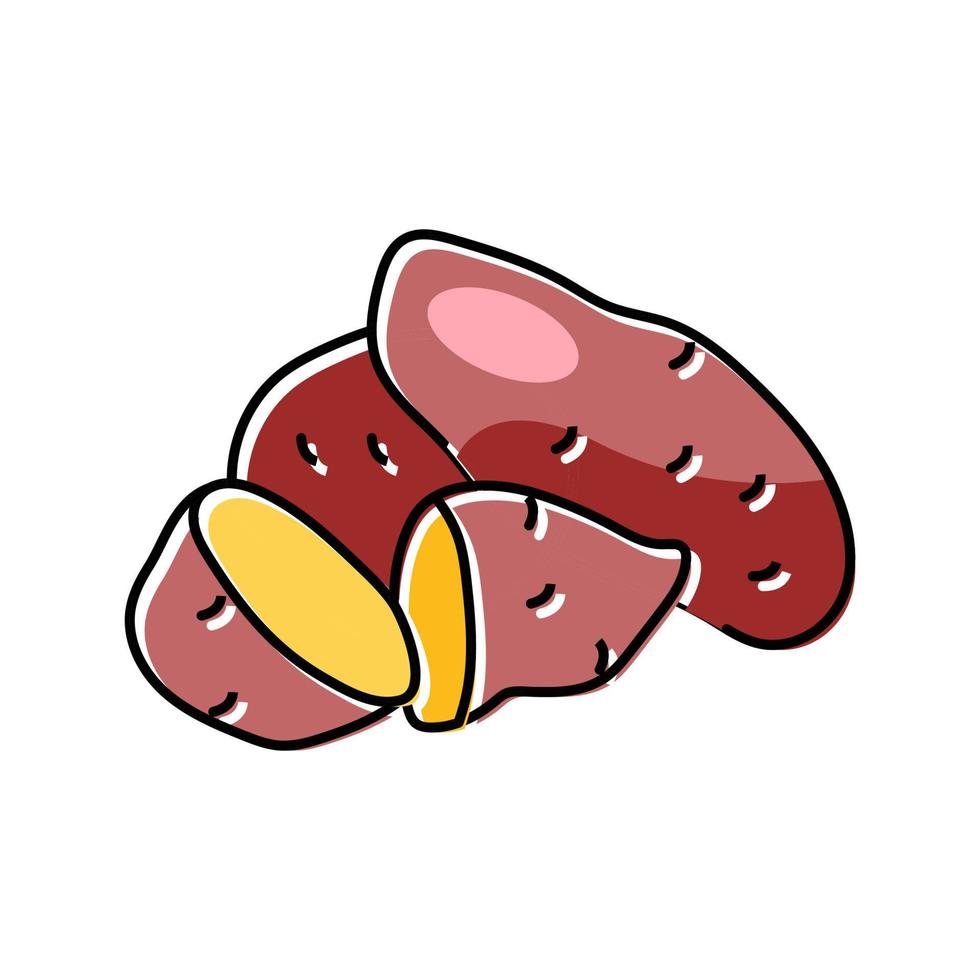 ilustração vetorial de ícone de cor de corte doce de batatas maduras vetor