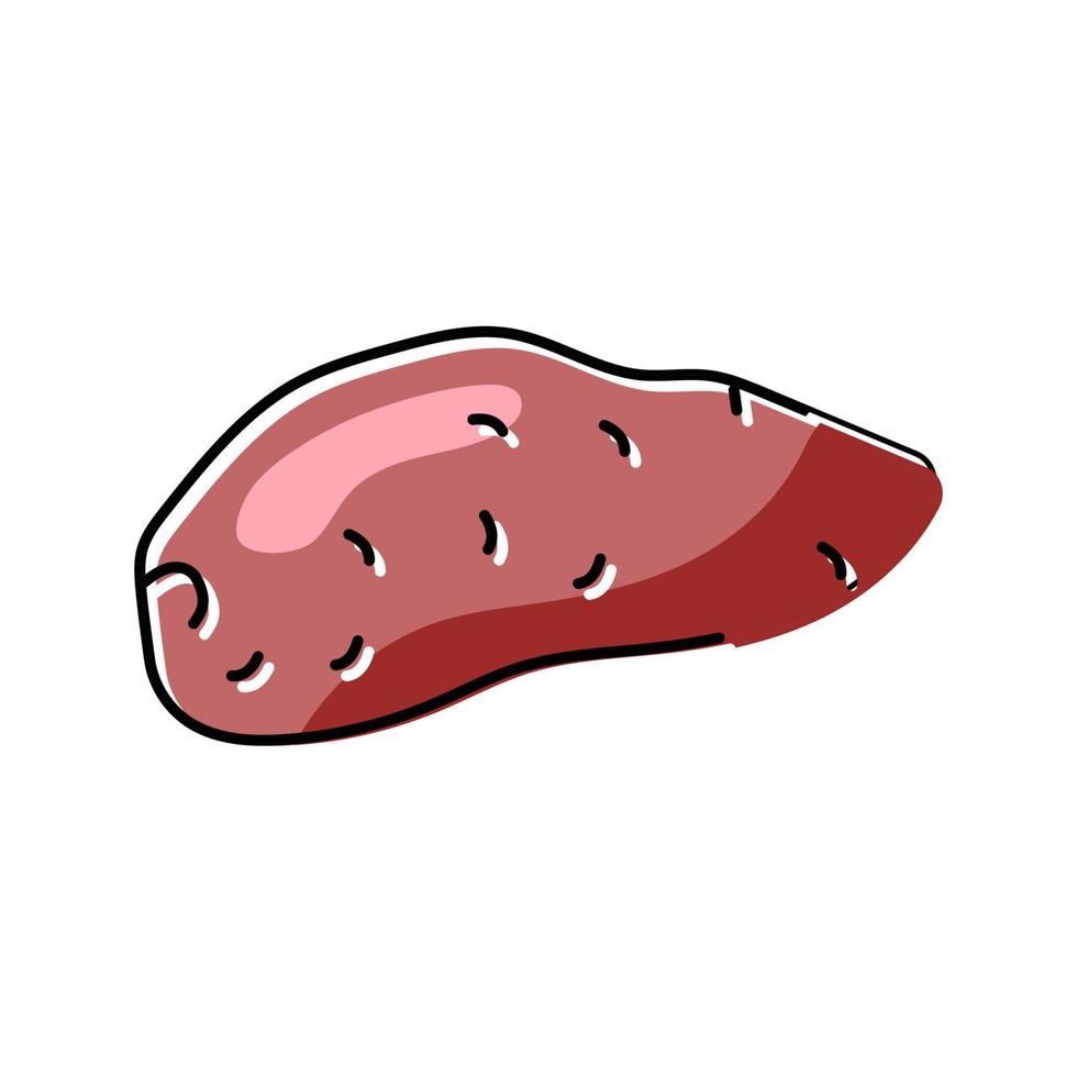 ilustração em vetor ícone de cor de batata-doce