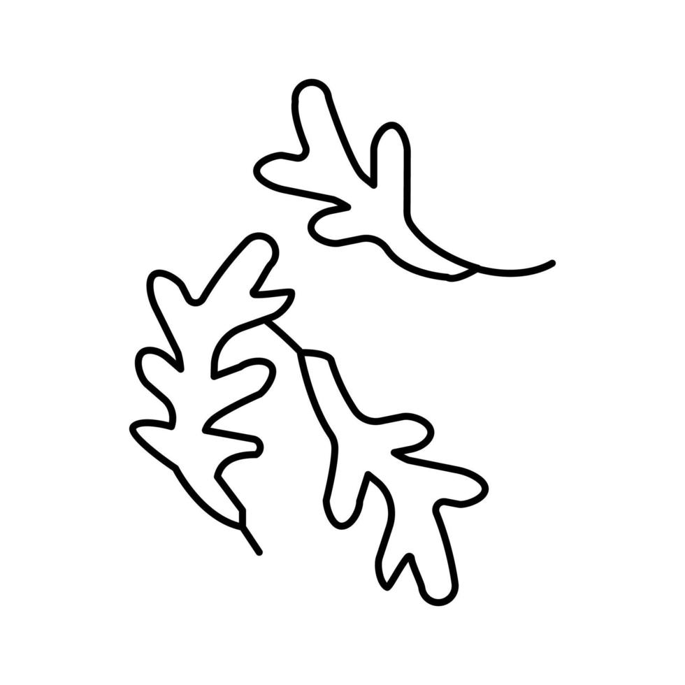 ilustração em vetor ícone de linha de corte de comida de fatia de rúcula