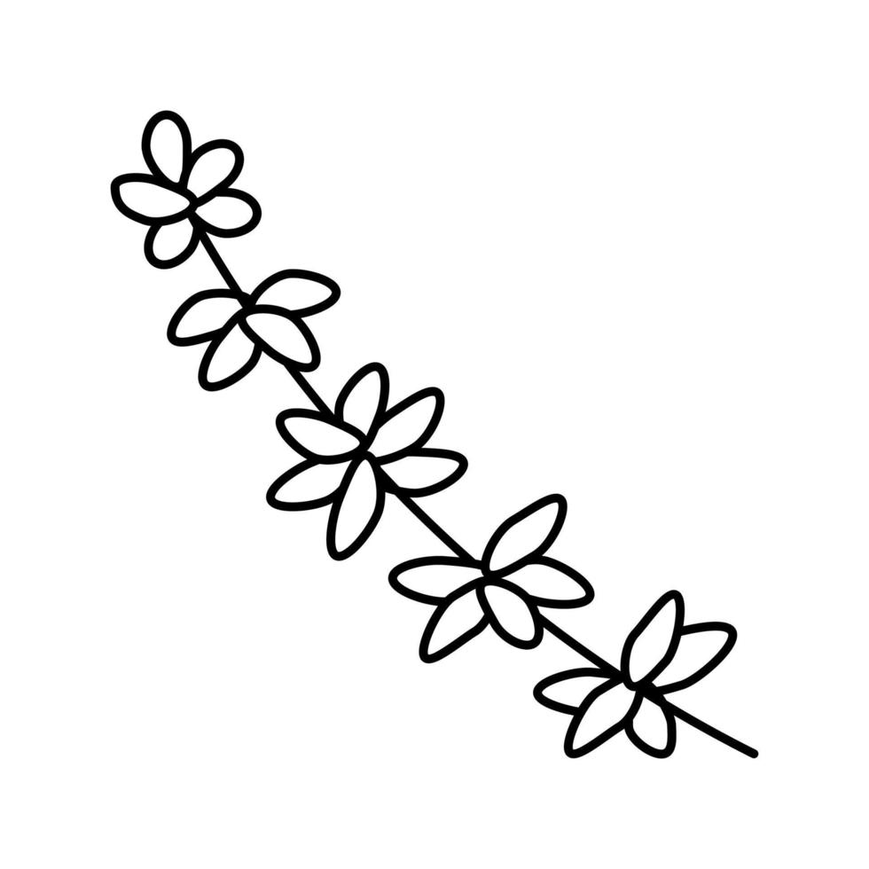 ilustração vetorial de ícone de linha de ramo de tomilho vetor