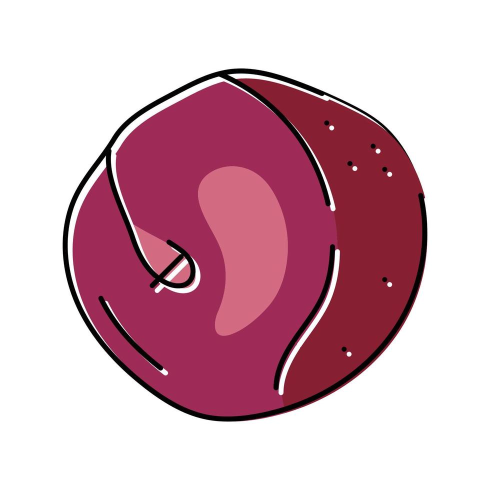 ilustração em vetor ícone de cor de fruta ameixa bordô