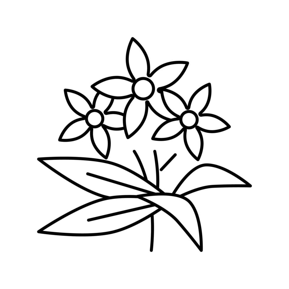 neroli flores aromaterapia linha ícone vetor ilustração isolada