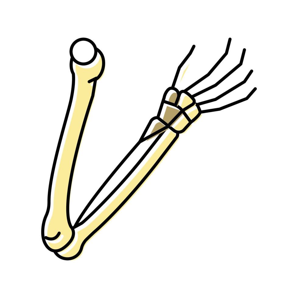 ilustração vetorial de ícone de cor de osso de braços vetor