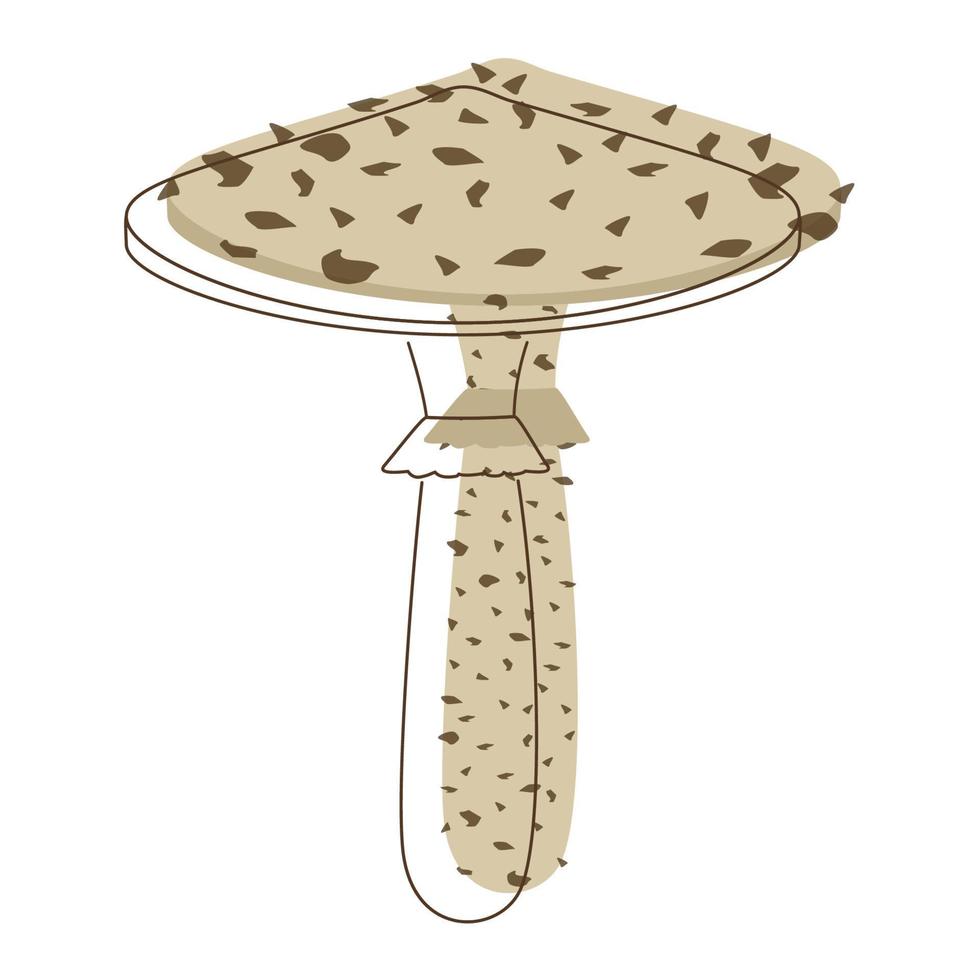 cogumelo cogumelo lineart. cogumelos orgânicos comestíveis. boné marrom trufado. tipos de cogumelos selvagens da floresta. ilustração vetorial colorida isolada no fundo branco. vetor