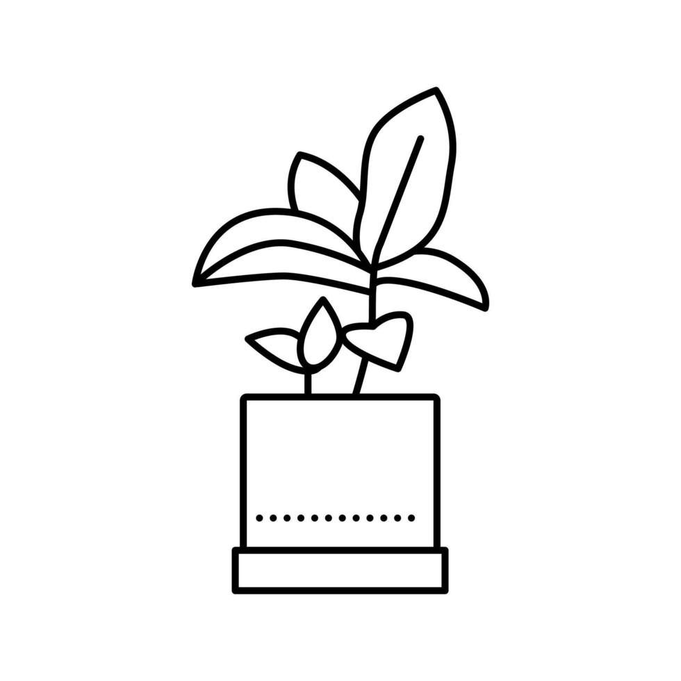 planta de casa de folhas verdes na ilustração vetorial de ícone de linha de pote vetor