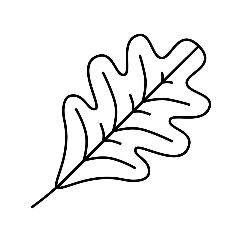 ilustração vetorial de ícone de linha de folha de carvalho vetor