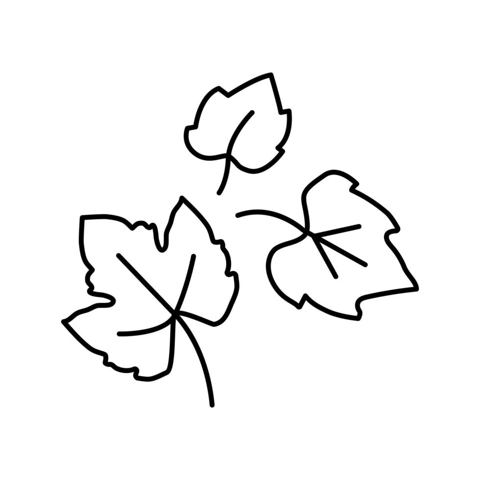 ilustração vetorial de ícone de linha verde de uva de folha vetor