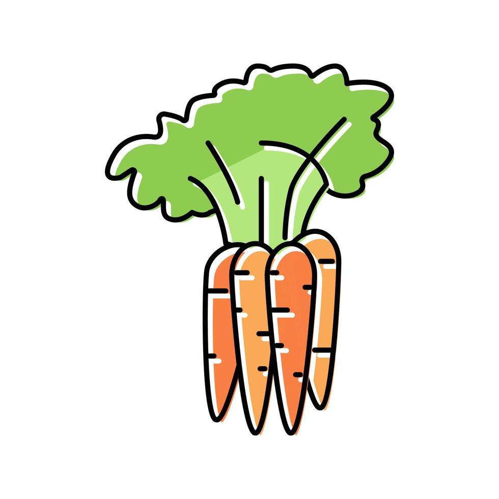 planta ilustração vetorial de ícone de cor de cenoura vetor