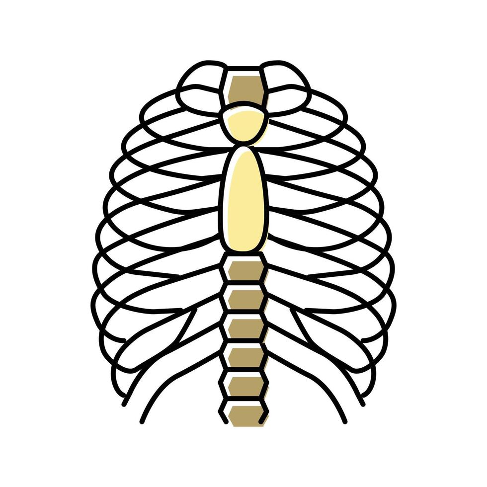 ilustração vetorial de ícone de cor de osso do peito vetor