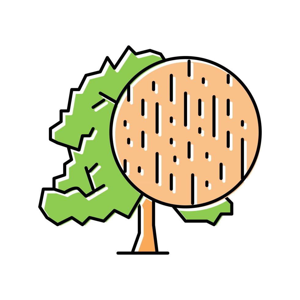 ilustração em vetor ícone de cor de madeira de faia