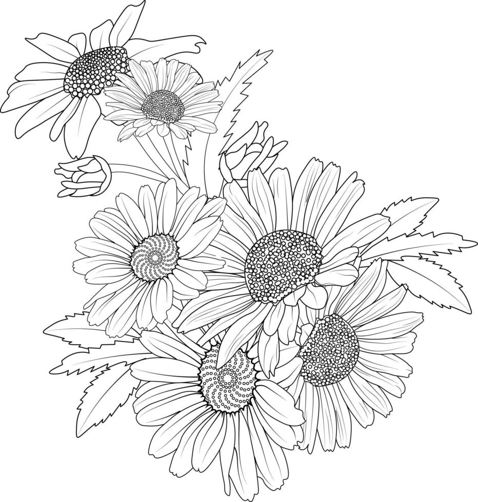 esboço de contorno margarida flor livro para colorir mão desenhada ilustração vetorial artisticamente gravada tinta arte flor narciso flores isoladas no fundo branco clipart. vetor