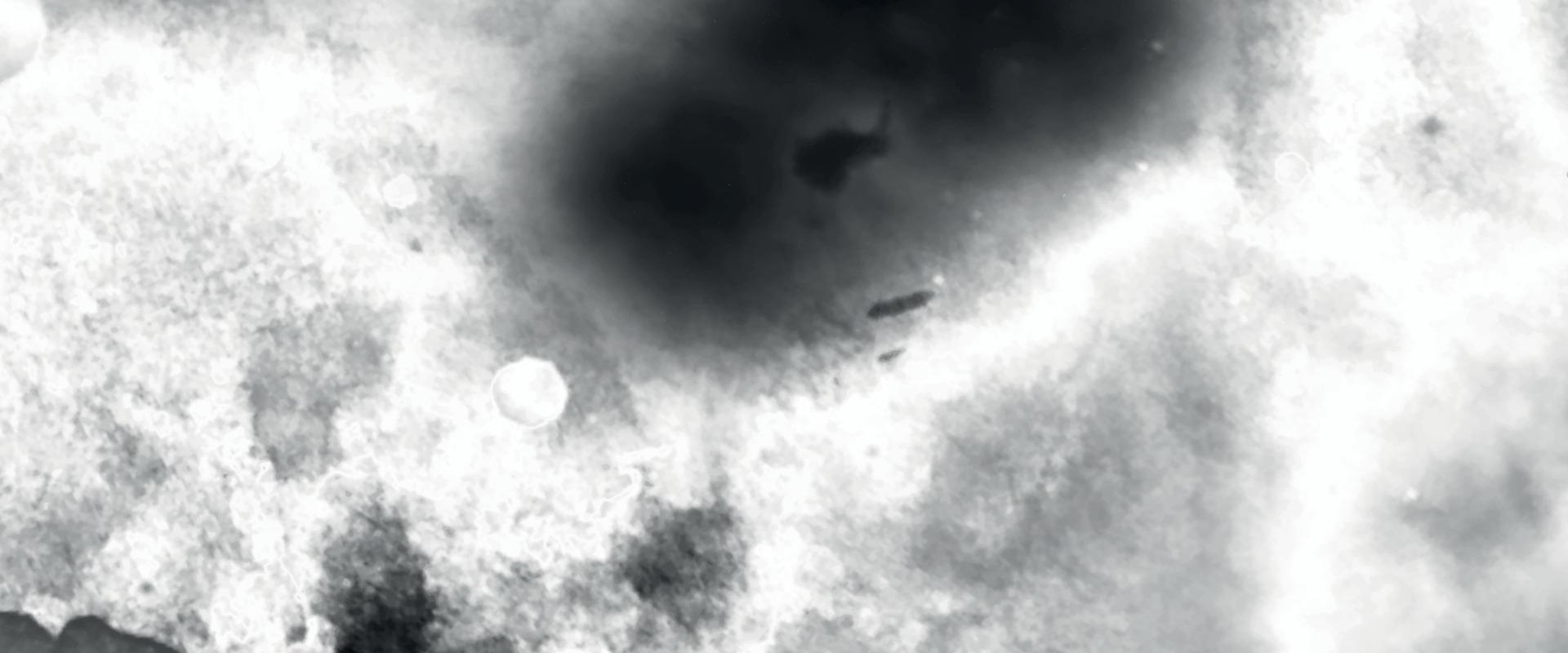 textura de parede cinza aquarela grunge branco. fundo preto e branco, gotas de água na janela. fumaça cinza vindo de incêndios no céu para o fundo. conceito de inalação de fumaça tóxica. escovado pintado vetor