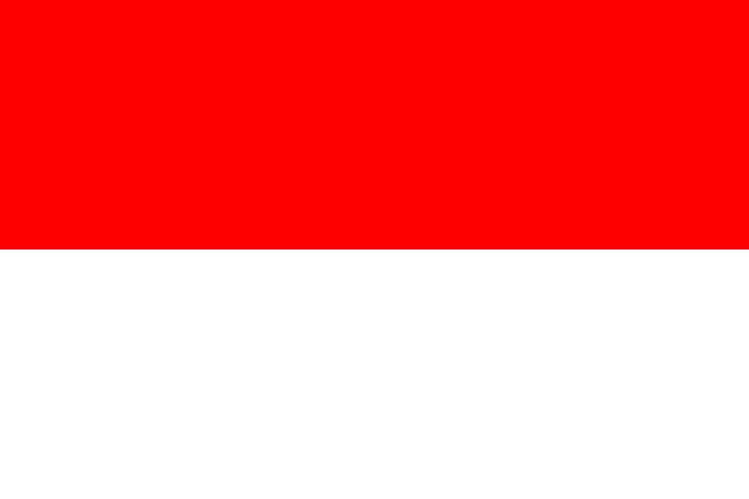 ilustração simples da bandeira da indonésia para o dia da independência ou eleição vetor